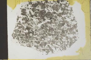 Plane Polarized, S28102