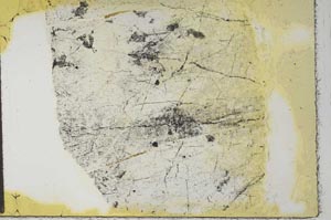 Plane Polarized, S28104