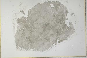 Plane Polarized, S28105