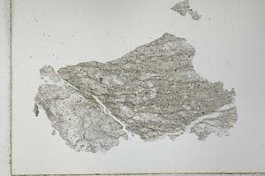 Plane Polarized, S28107