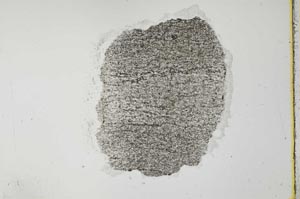 Plane Polarized, S28117