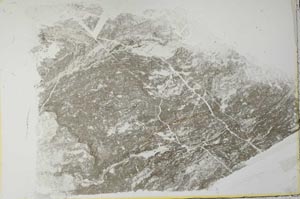 Plane Polarized, S28120