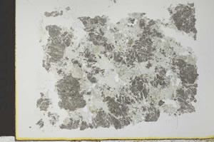 Plane Polarized, S28121