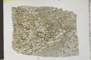 Plane Polarized, S28126
