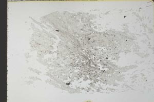 Plane Polarized, S28129