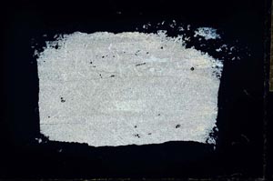 Cross Polarized, S28130