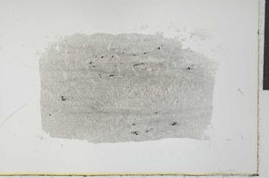 Plane Polarized, S28130