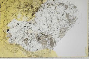 Plane Polarized, S28131