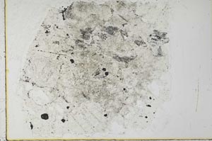 Plane Polarized, S28145