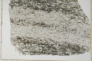 Plane Polarized, S28147
