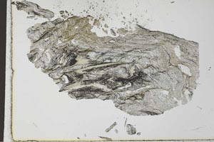 Plane Polarized, S28162