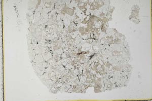 Plane Polarized, S28163