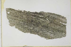 Plane Polarized, S28165
