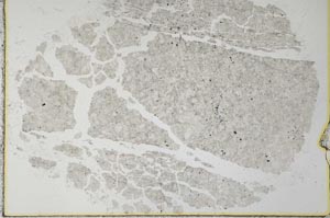Plane Polarized, S28166