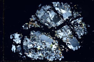 Cross Polarized, S28235