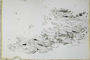 Plane Polarized, S28245
