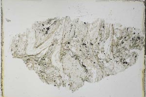Plane Polarized, S28248