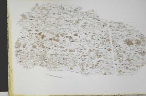 Plane Polarized, S28250
