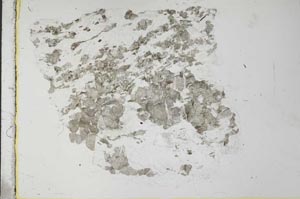 Plane Polarized, S28257
