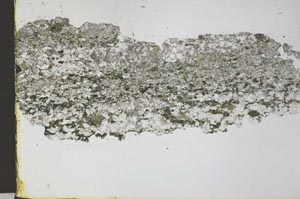 Plane Polarized, S28260