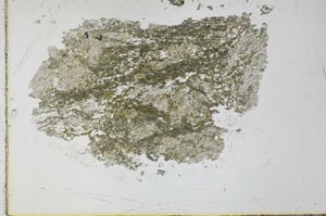 Plane Polarized, S28264