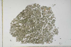 Plane Polarized, S28265