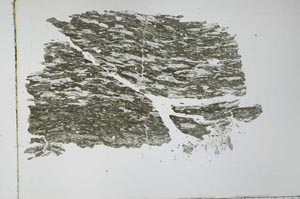 Plane Polarized, S28278