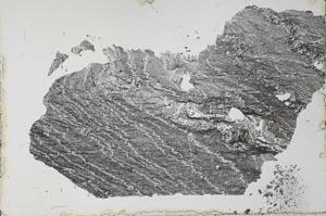 Plane Polarized, S28303