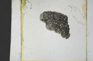 Plane Polarized, S28309