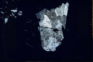 Cross Polarized, S28309/A