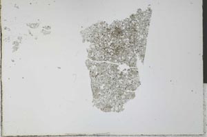 Plane Polarized, S28309/A