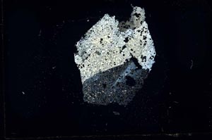 Cross Polarized, S28309/B