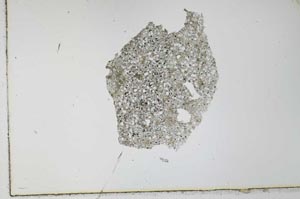 Plane Polarized, S28309/B