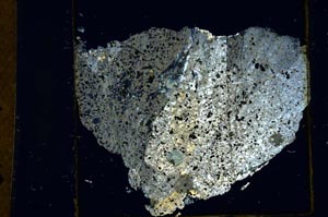 Cross Polarized, S28309/C