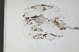 Plane Polarized, S28315