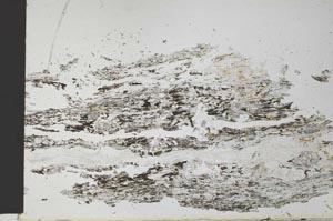 Plane Polarized, S28332