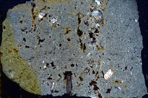 Cross Polarized, S28374