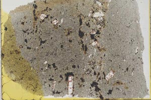 Plane Polarized, S28374