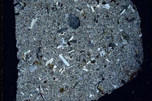 Cross Polarized, S28375