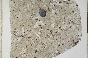 Plane Polarized, S28375