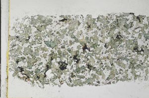 Plane Polarized, S28379