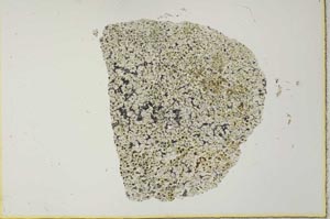 Plane Polarized, S28387