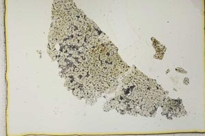 Plane Polarized, S28387/A