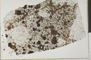Plane Polarized, S28406