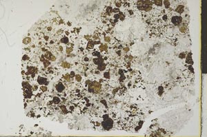 Plane Polarized, S28407