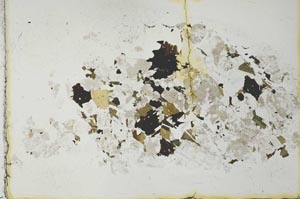 Plane Polarized, S28411
