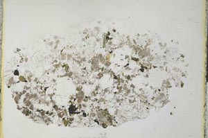 Plane Polarized, S28423