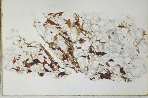 Plane Polarized, S28429