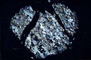 Cross Polarized, S28432