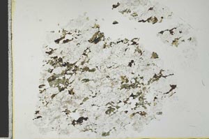 Plane Polarized, S28433